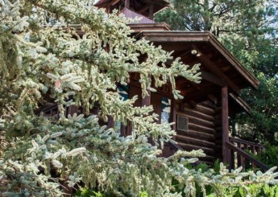 Beautiful, affordable mountain cabin near Santa Fe and Angel Fire