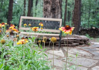 Flowers in the community at New Mexico Pendaries