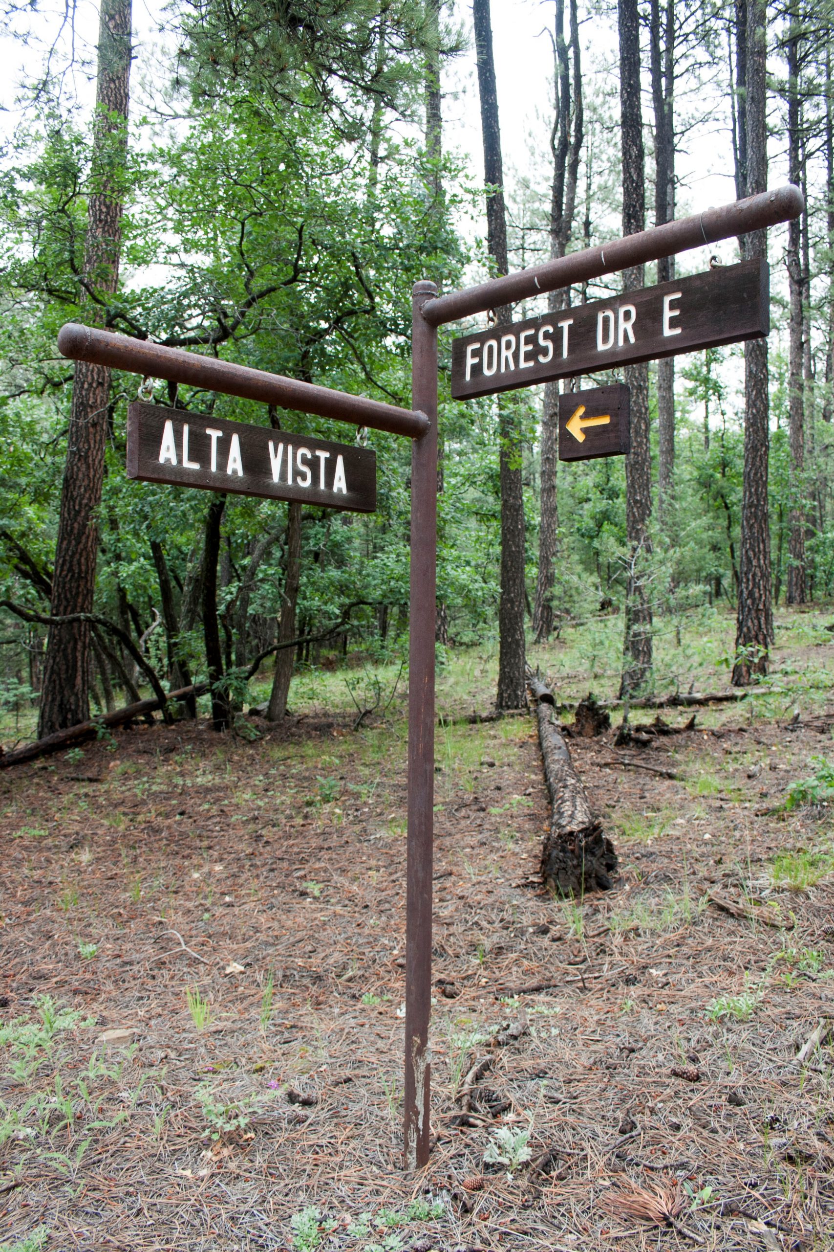 Alta Vista and Forest Dr E Intersection located in the mountains near Santa Fe and Taos