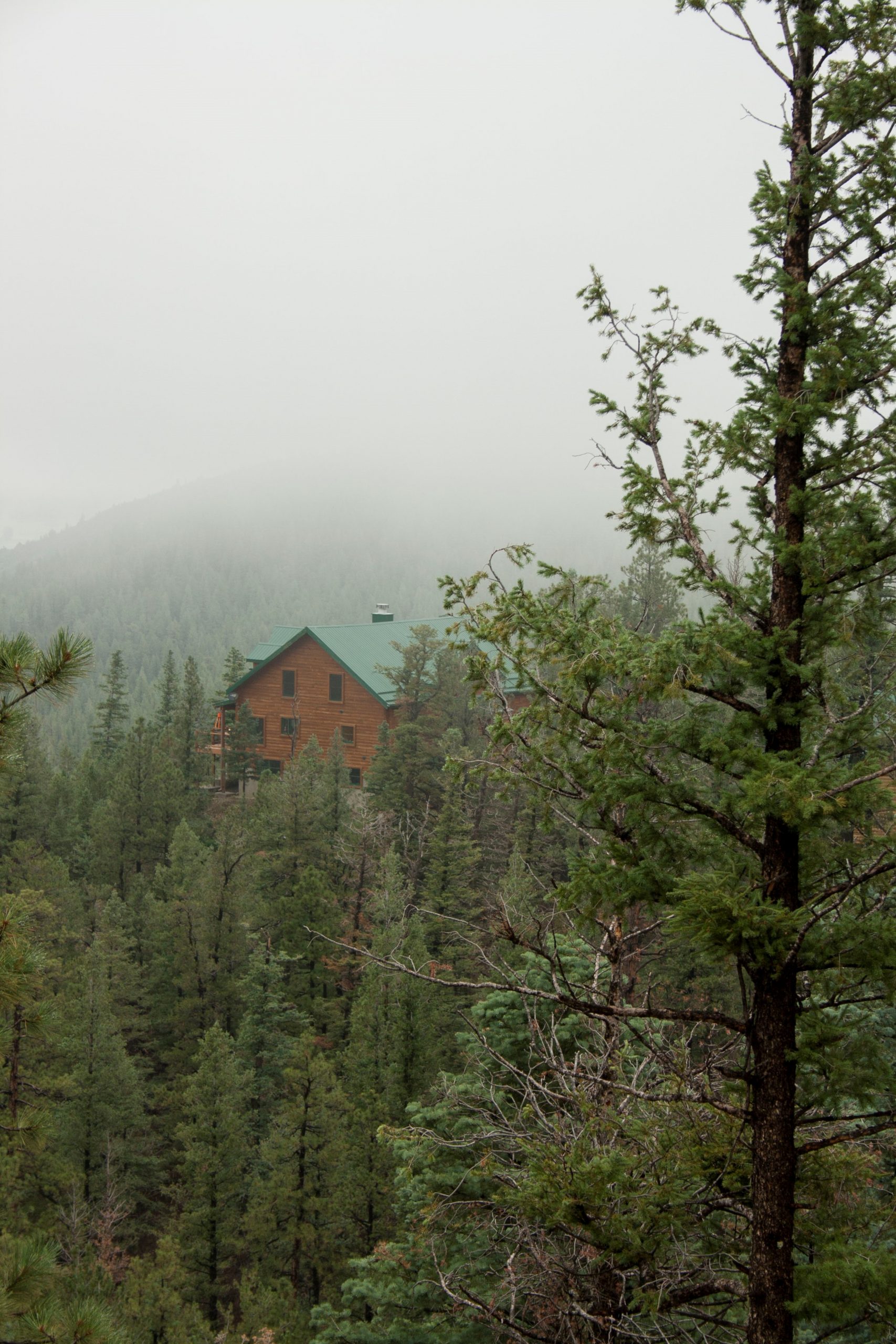 Cabin in the distance surrounded by trees in the mountains